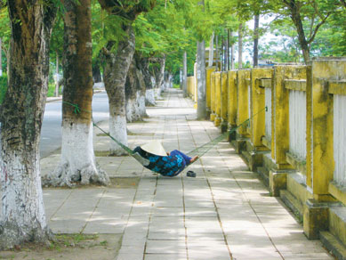 Betel Tree, The