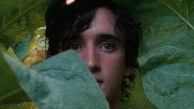 HAPPY AS LAZZARO