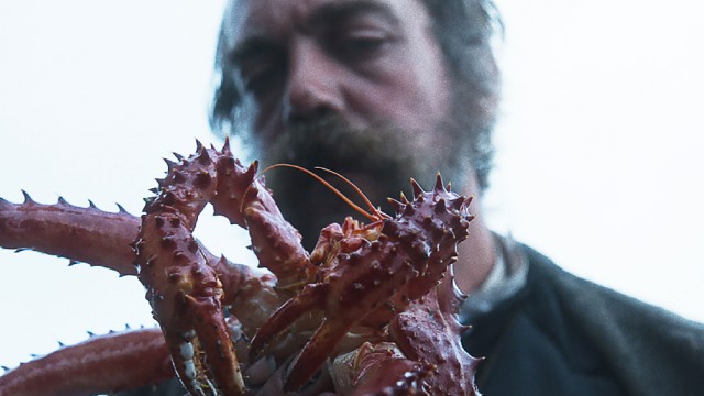 The Tale of King Crab