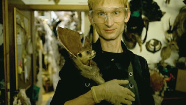 TAXIDERMIA