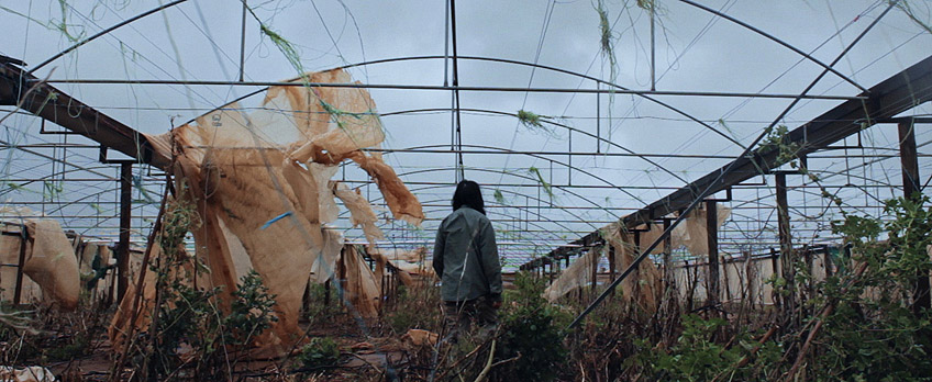 Walls of Silence: Outside the Oranges Are Blooming and The Plastic House