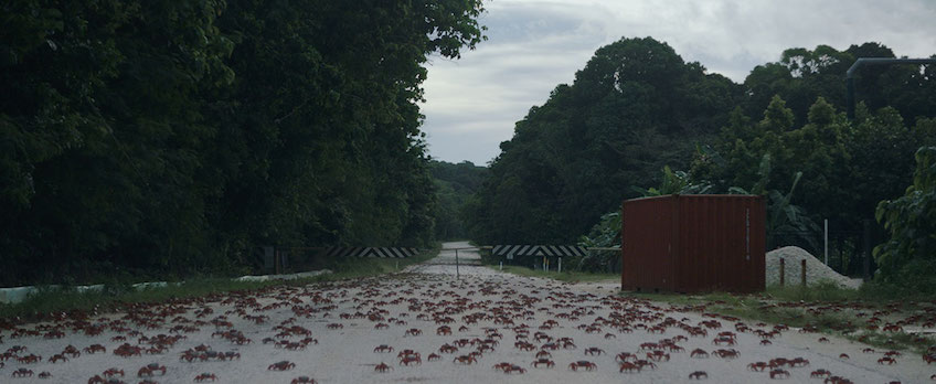 The Island of the Hungry Ghosts